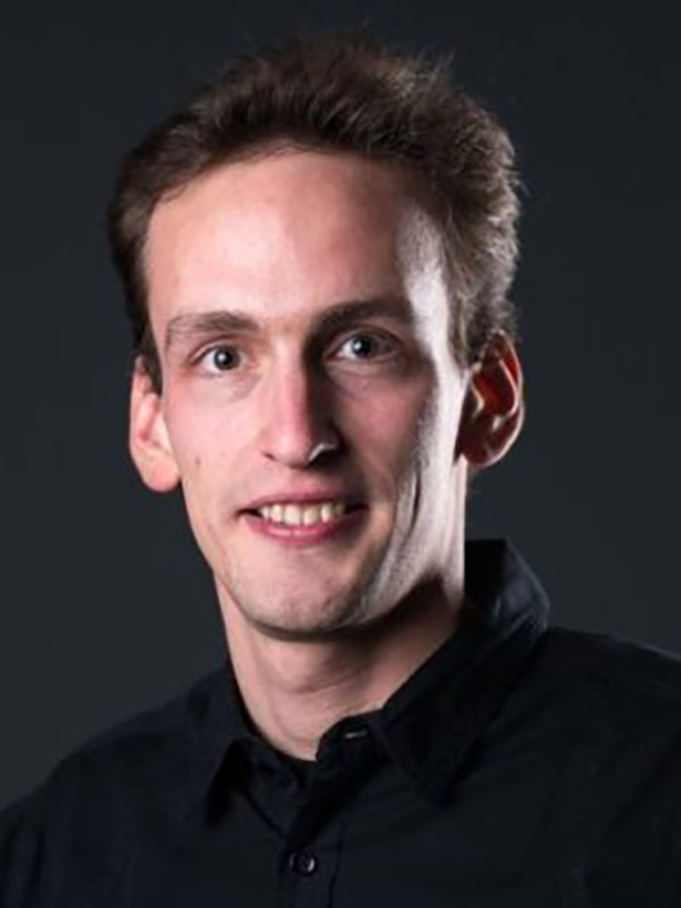 Maarten De Vos, Professor