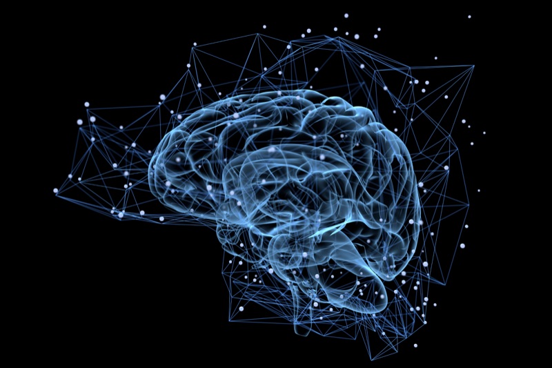 Decoding Brain Activity
